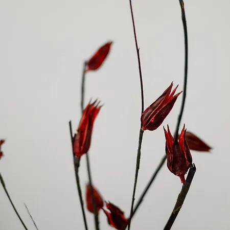 Openview On Metro Station - Easy Parking Apartament *